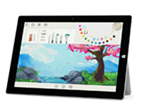 额济纳Surface 无法开启、Windows 无法启动或电池无法充电
